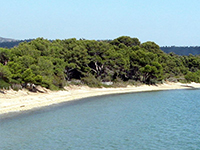 la londe les maures